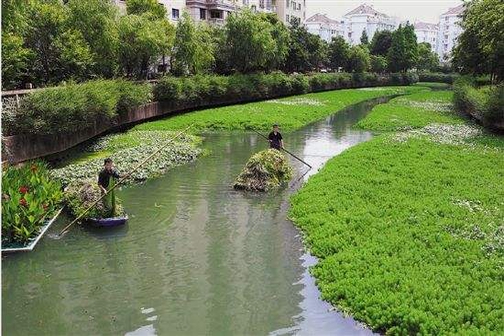 物业绿化养护知识