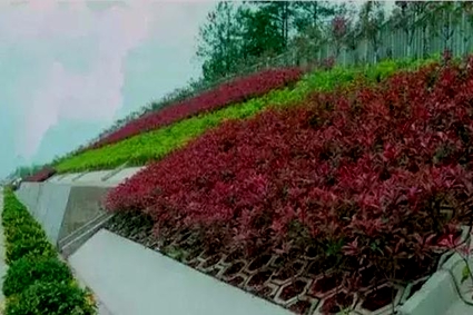 与大自然和谐共处，城市绿化未来新方向